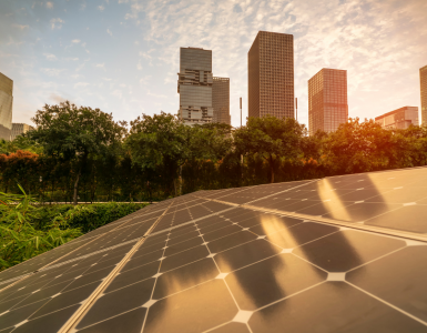 Solar energy demand growth shown through large scale solar installations meeting rising global electricity demand